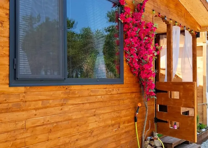 еко къщи градина Kemp *